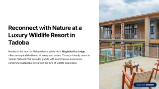 reconnect with nature at a luxury wildlife resort in tadoba