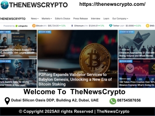 Bonk Price Prediction