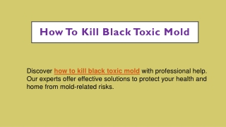 How To Kill Black Toxic Mold