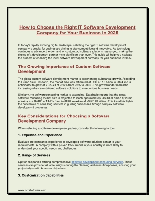 How to Choose the Right IT Software Development Company for Your Business in 2025