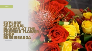 Explore Seasonal Blooms at the Premier Flower Shop Mississauga