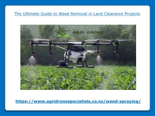 The Ultimate Guide to Weed Removal in Land Clearance Projects
