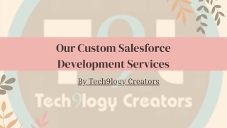 Custom Salesforce Development Services