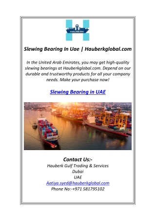 Slewing Bearing In Uae | Hauberkglobal.com