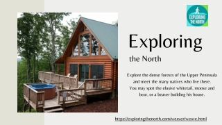 Start Your Day Right Stunning Sunrises at Saunders Cabins