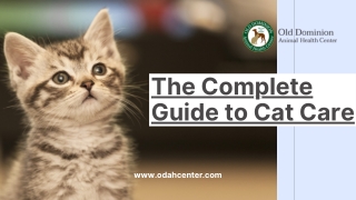 The Complete Guide to Cat Care