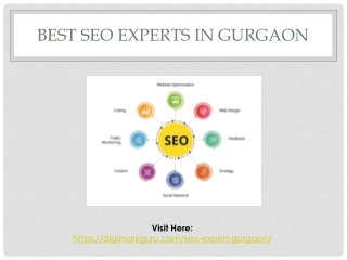 Best SEO Experts In Gurgaon