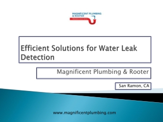 Efficient Solutions for Water Leak Detection