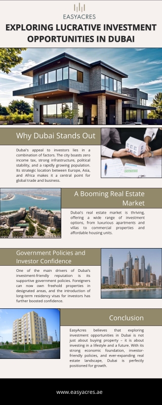 Exploring Lucrative Investment Opportunities in Dubai