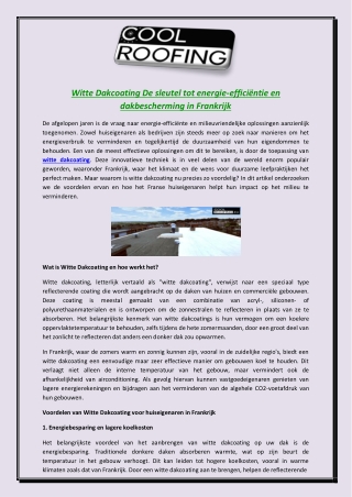Witte Dakcoating De sleutel tot energie-efficiëntie en dakbescherming in Frankrijk