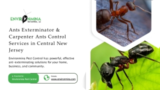 Effective Ants Control in New Jersey by Environmina Pest Control