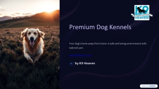 Premium Dog Kennels