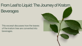From Leaf to Liquid The Journey of Kratom Beverages