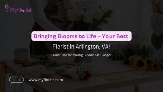 My Florist & Flower Delivery – Best Florist Arlington VA for Every Occasion