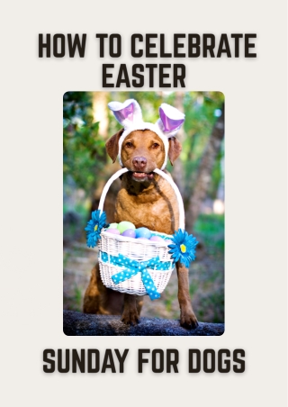 How to Celebrate Easter Sunday for Dogs