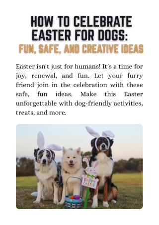 How Do You Celebrate Easter for Dogs Fun, Safe, and Creative Ideas