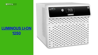 LUMINOUS LI-ON 1250