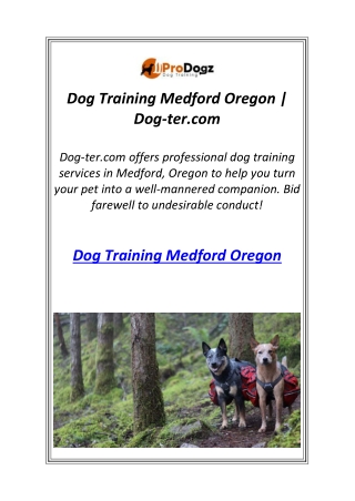 Dog Training Medford Oregon | Dog-ter.com