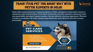 Proffesional Pet Training Service in Noida