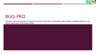 Trusted Pest Control Companies in Nigeria and Lagos for Effective Solutions