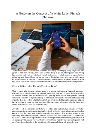A Guide on the Concept of a White Label Fintech Platform