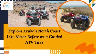Explore Aruba’s North Coast Like Never Before on a Guided ATV Tour