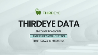 ThirdEye Data