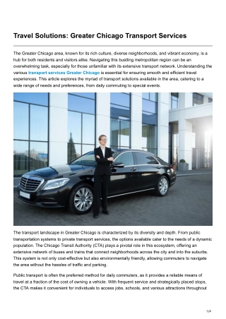 Travel Solutions Greater Chicago Transport Services