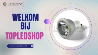 Weet waarom een LED Transformator essentieel is voor energiezuinige verlichting