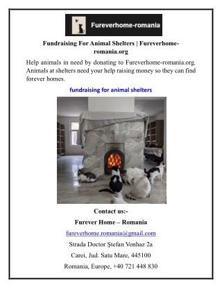 Fundraising For Animal Shelters  Fureverhome-romania.org