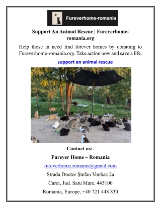 Support An Animal Rescue  Fureverhome-romania.org