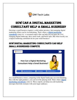 How Can a Digital Marketing Consultant Help a Small Business