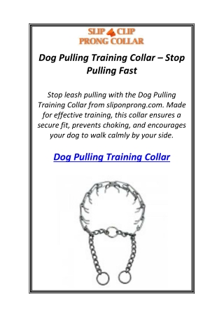 Dog Pulling Training Collar – Stop Pulling Fast