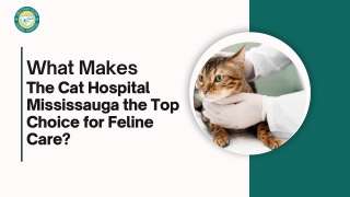 Why Pet Owners Trust The Cat Hospital Mississauga for Advanced Diagnostics?