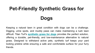 Pet-Friendly Synthetic Grass for Dogs