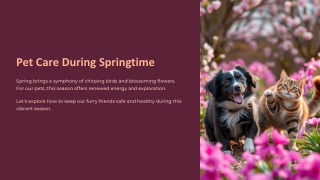 After hikes check for ticks | CurliTail makes it simple.