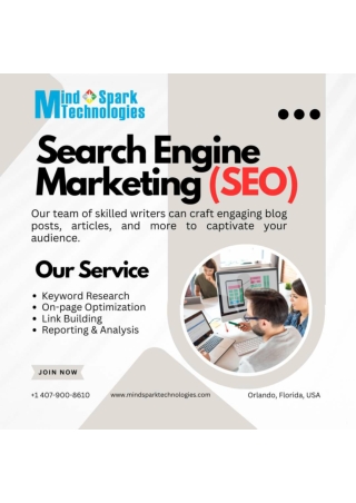 Local SEO Services in Orlando, Florida: Mind Spark Technologies.