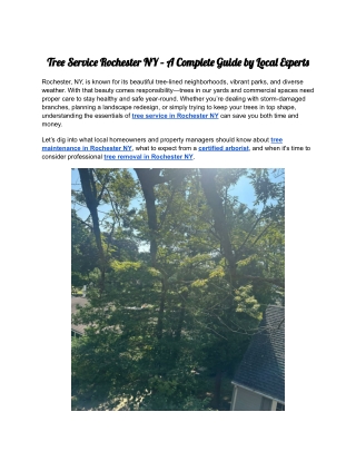 Tree Service Rochester NY – A Complete Guide by Local Experts