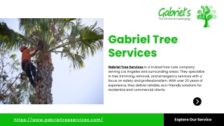 Tree Service in Sacramento - Gabriel Tree Services