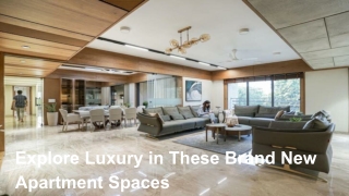 Explore Luxury in These Brand New Apartment Spaces