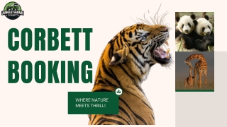 Book Your Jim Corbett Safari | Explore Wildlife at CorbettBooking.co.in