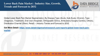 Global Lower Back Pain Market
