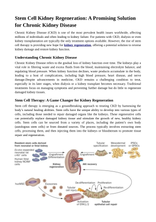 Stem Cell Kidney Regeneration: A Promising Solution for Chronic Kidney Disease