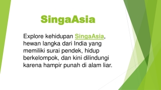 SingaAsia