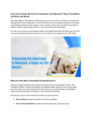 How Can I Protect My Pet from Infections This Monsoon