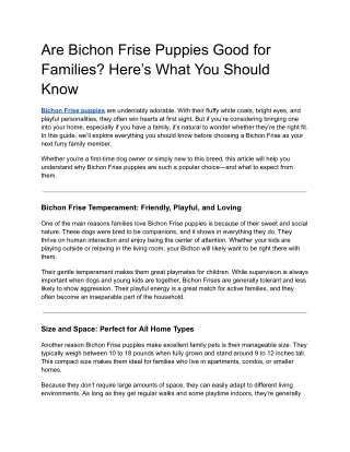 Are Bichon Frise Puppies Good for Families