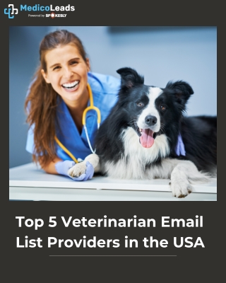 Top 5 Veterinarian Email List Providers in the USA