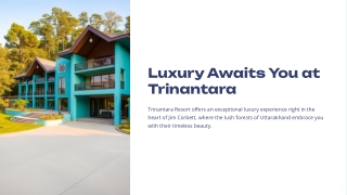 Luxury Resort in Jim Corbett | Stay Amidst Nature & Comfort