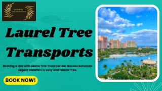 Private Transfer to Cable Beach