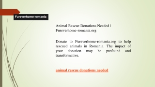 Animal Rescue Donations Needed  Fureverhome-romania.org